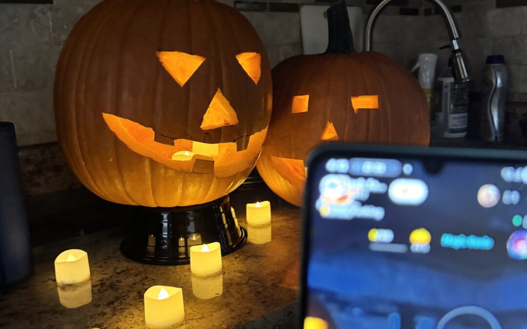 Order Your Pumpkins NOW!